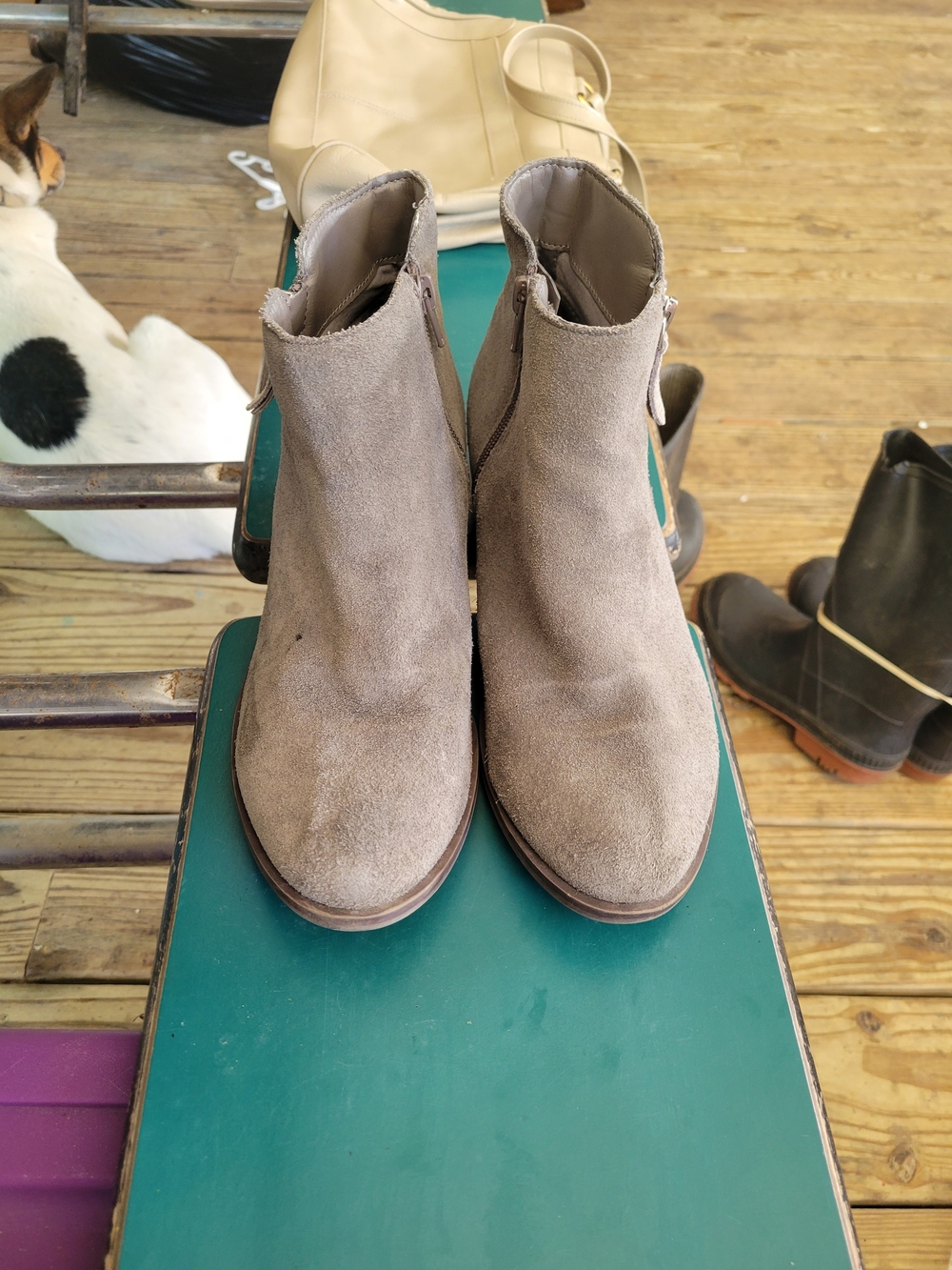 Kensie Suede Ankle Booties in Taupe
